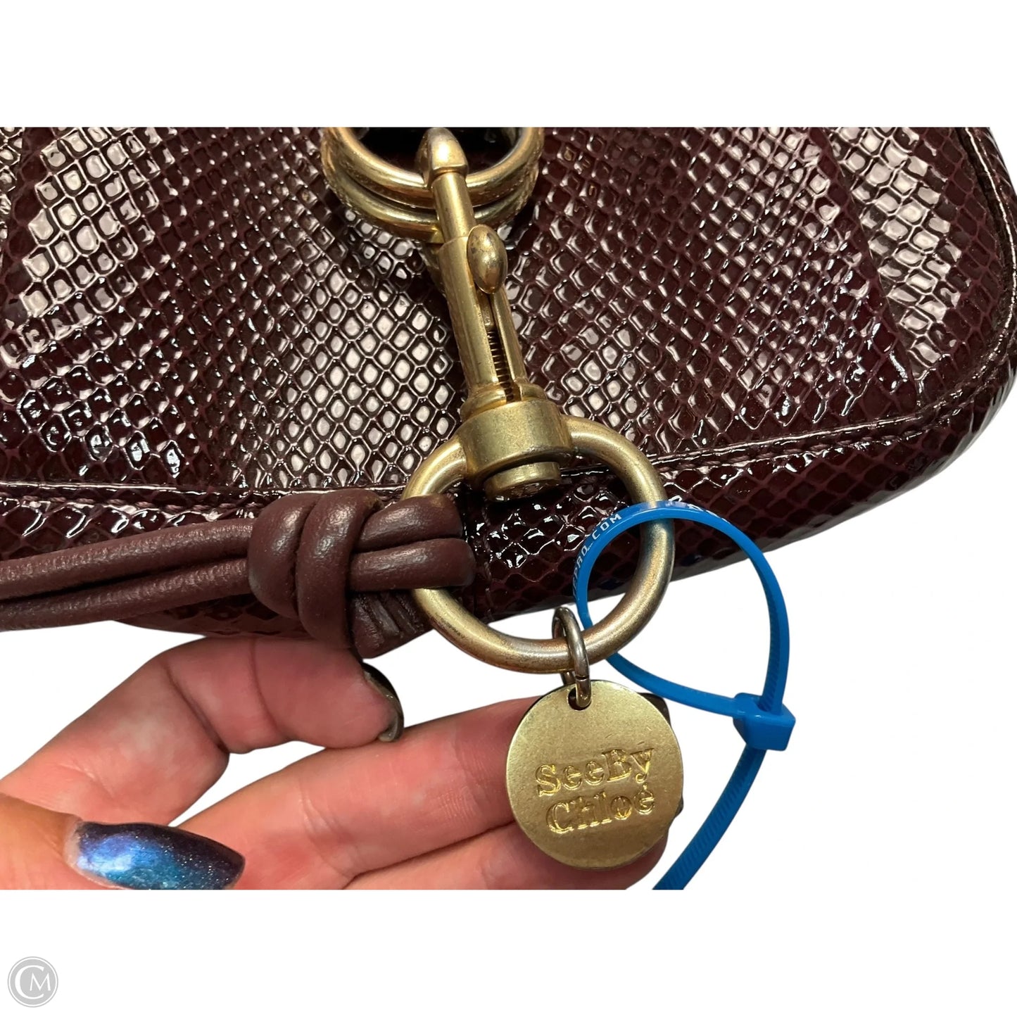 Belt Bag Designer By See By Chloe, Size: Small