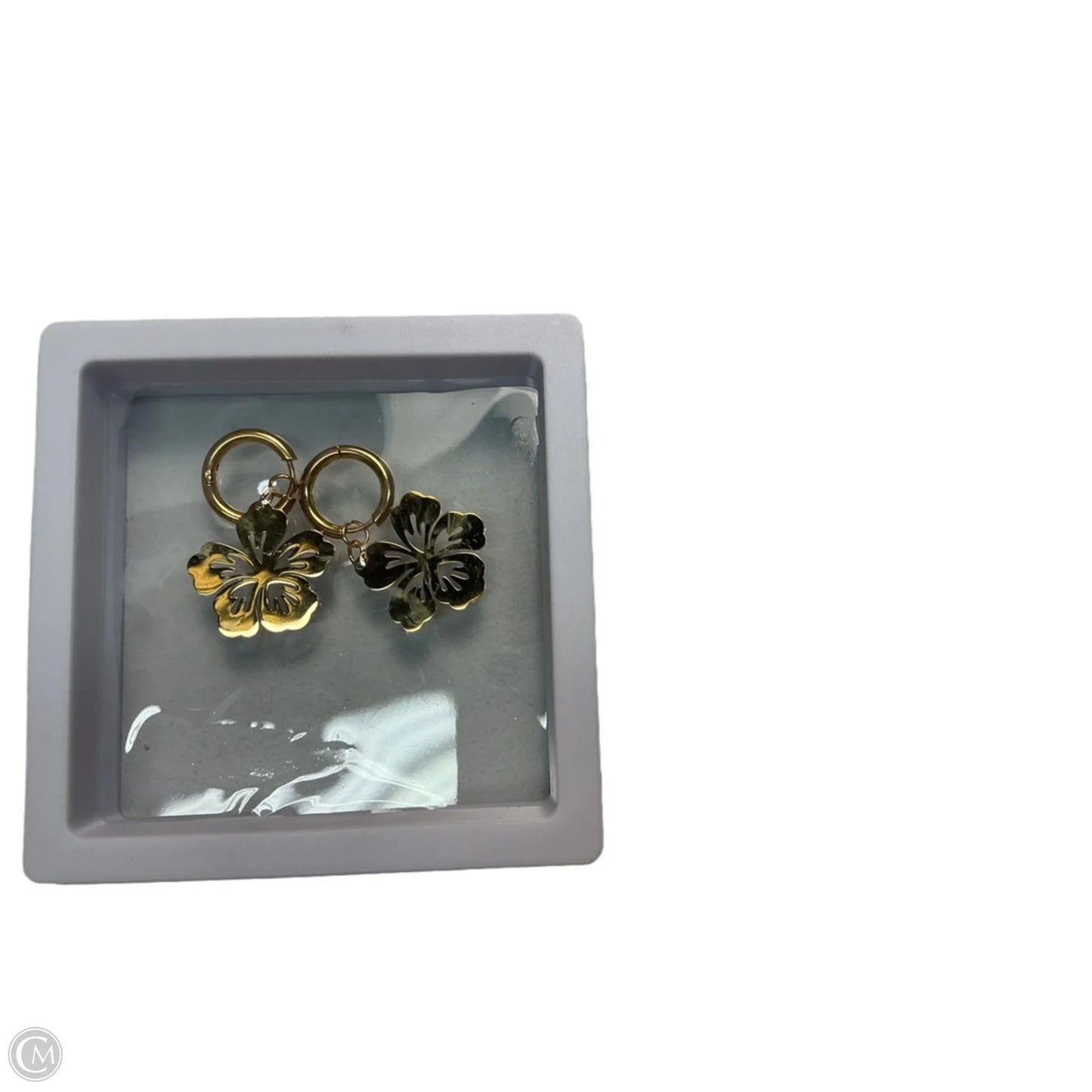 Earrings Dangle/drop By Clothes Mentor