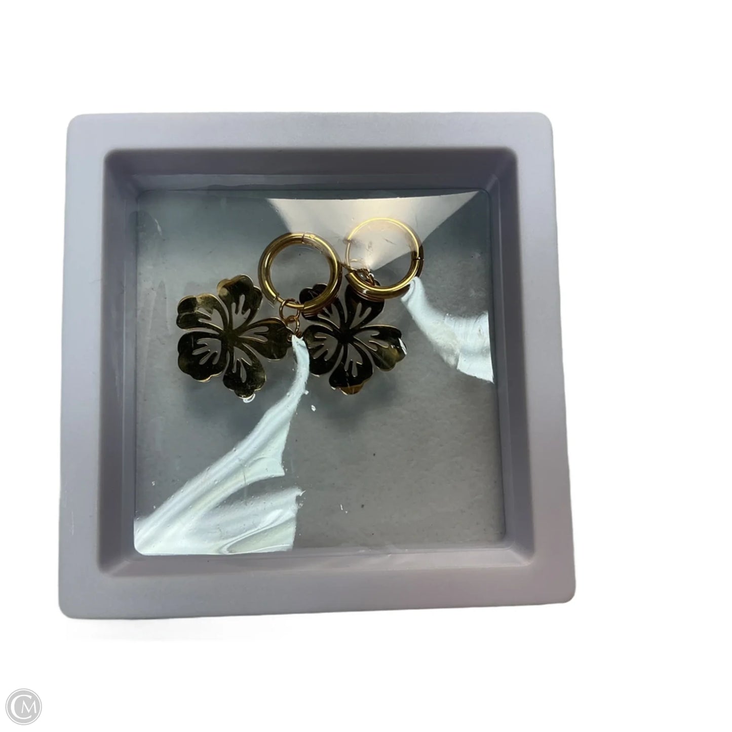 Earrings Dangle/drop By Clothes Mentor