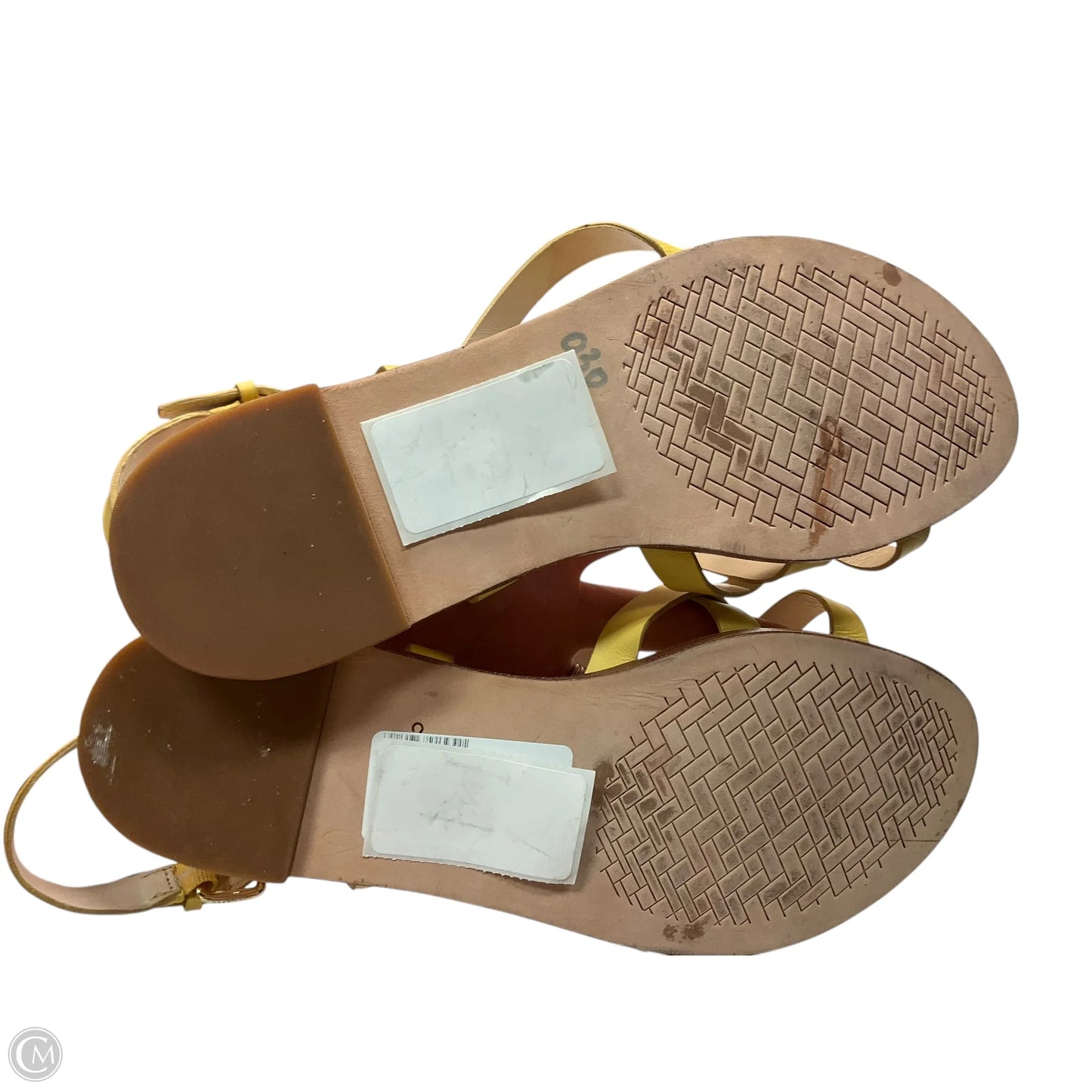 Sandals Designer By Cole-haan In Yellow, Size: 9.5