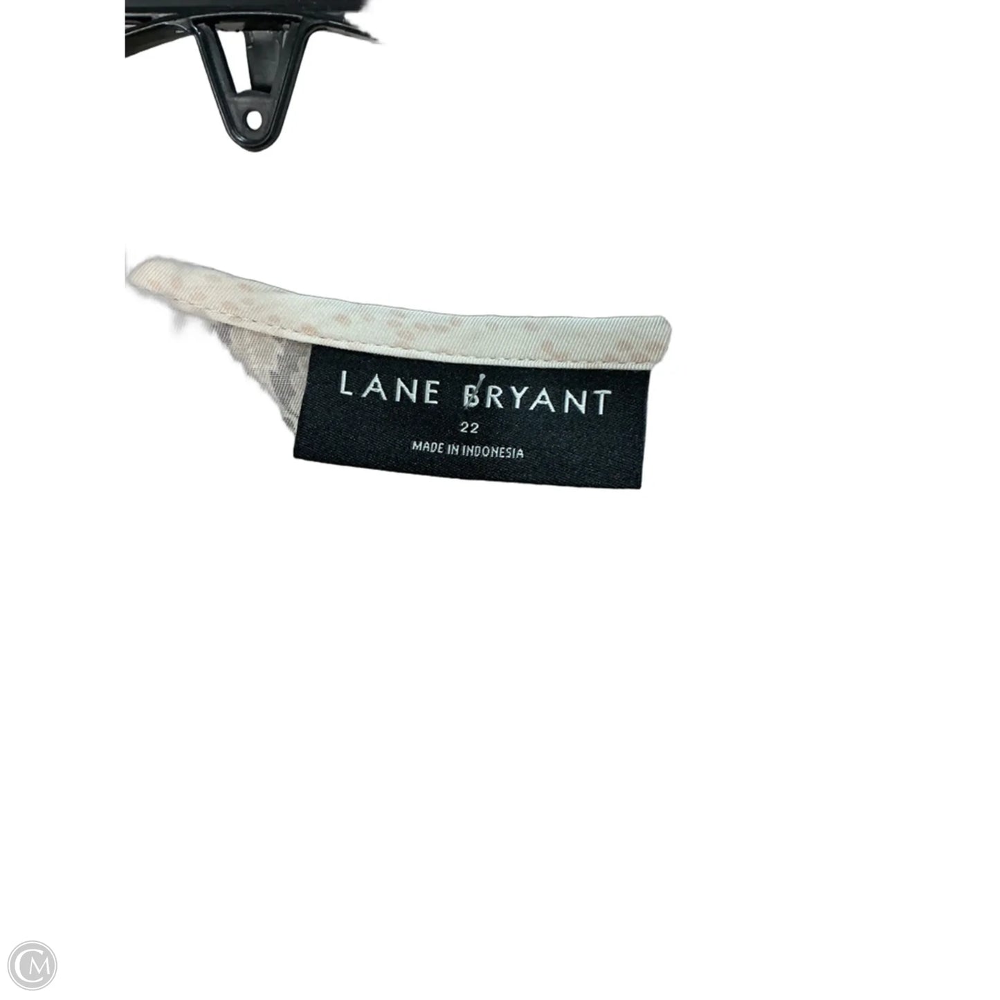 Top Short Sleeve By Lane Bryant In Beige, Size: 22