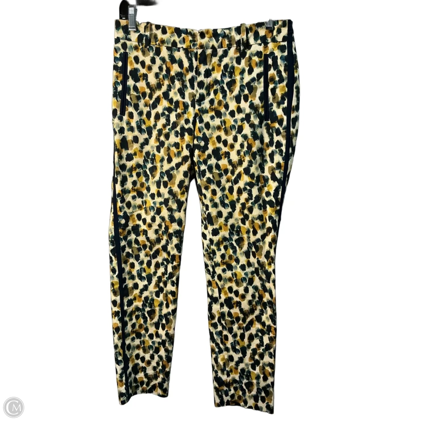 Pants Other By Zara Basic In Blue & Green, Size: S