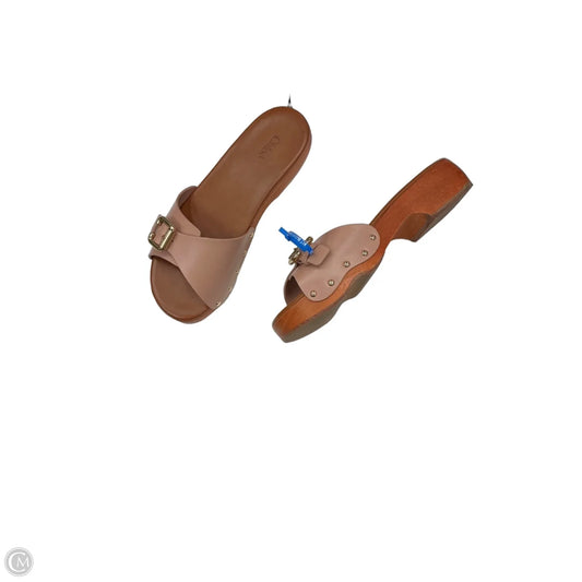Shoes Luxury Designer By Chloe In Brown & Pink, Size: 8.5