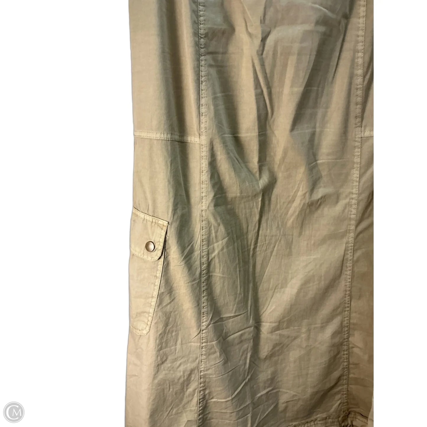 Skirt Maxi By Xcvi In Tan, Size: 2