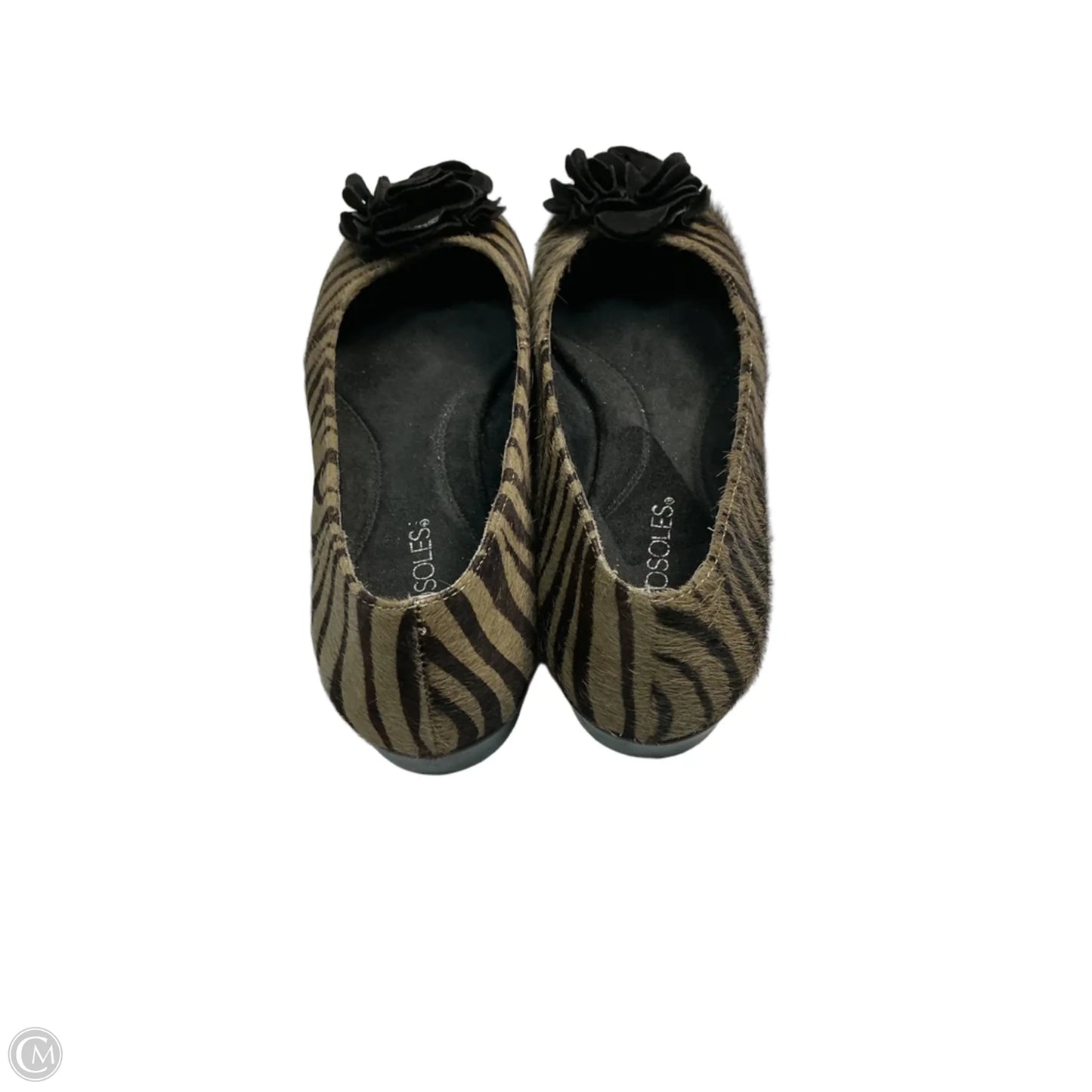 Shoes Flats By Aerosoles In Black & Brown, Size: 8