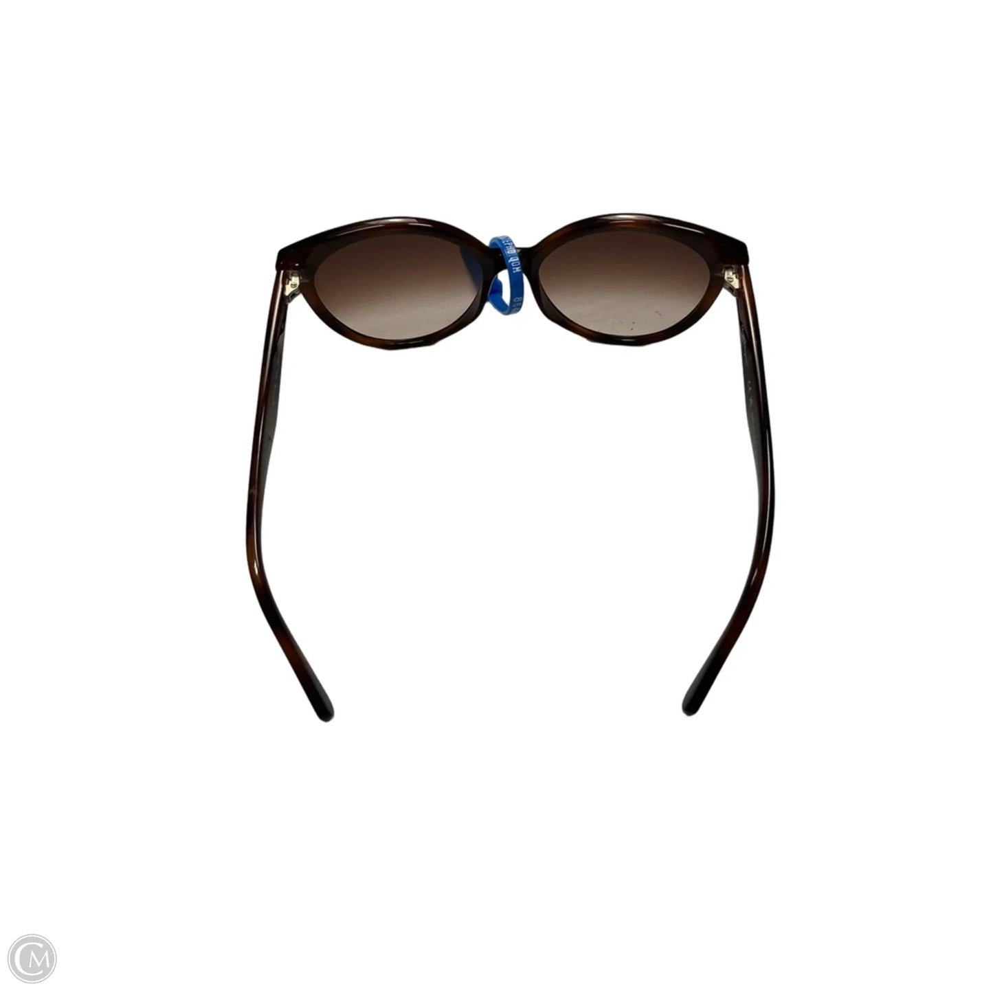Sunglasses Luxury Designer By Ferragamo, Size: